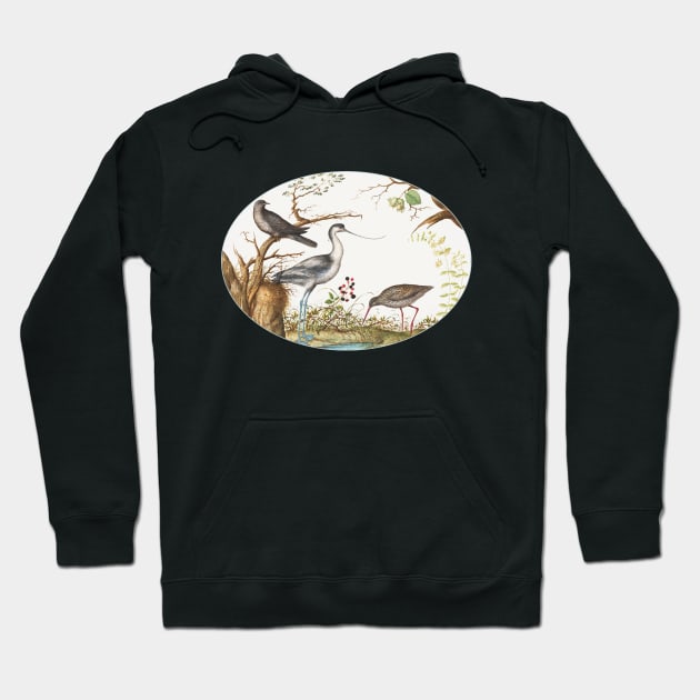 Avocet with Two Other Birds (1575–1580) Hoodie by WAITE-SMITH VINTAGE ART